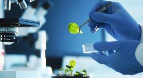 Agrobiotecnología: una opción ideal que hace frente a la demanda de alimentos